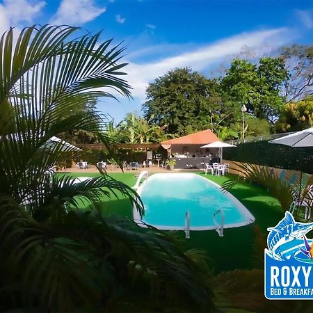 Roxy'S Bed & Breakfast Boca Chica Kültér fotó