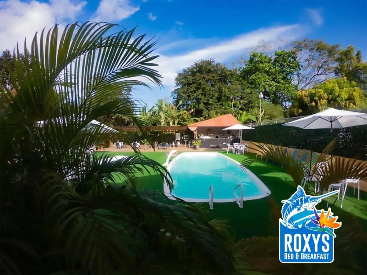 Roxy'S Bed & Breakfast Boca Chica Kültér fotó